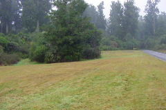 TR03206