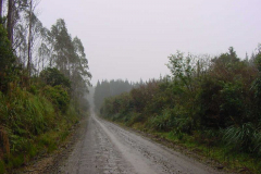 TR03212