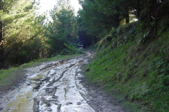 PC00018