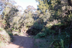 PC00046