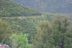 TR07617