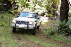 PC00043
