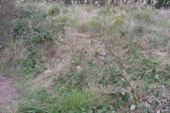 PC00007