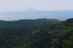 TR04507