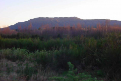TR02501