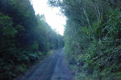 TR02514