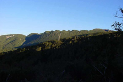 TR02521