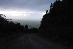 TR02006