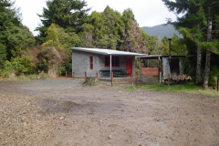 DSC00709