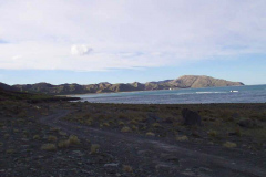 TR10219