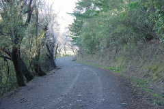 TR07706