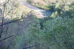 TR07707
