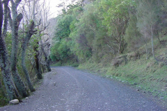 TR07708