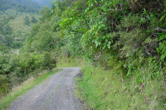 TR08209