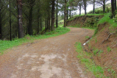 PC01016