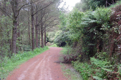 PC01017
