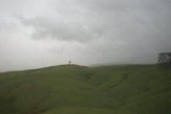 TR09205
