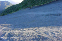 TR09809