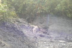 IMG-0054