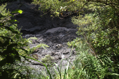 IMG-0065r