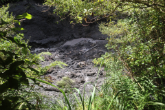 IMG-0066r