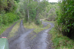 TR04207