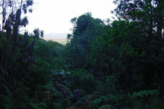 TR01407