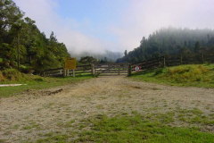 OldWhangamomonaRoad