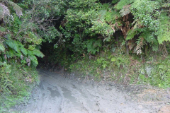 TR05923