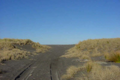 TR09905