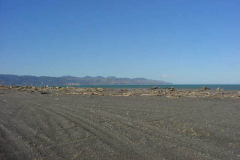 TR09909