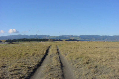 TR09911