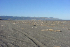 TR09912