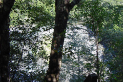 TR03809