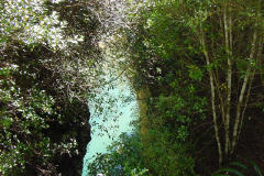 TR03811