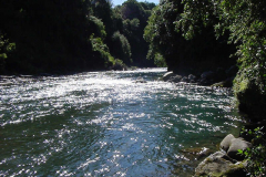 TR03820