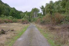 TR03407