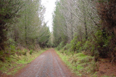 TR03415