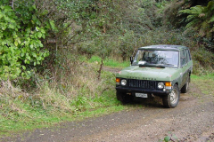 TR03419