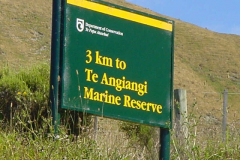 TR08806