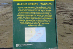 TR08812