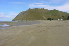 TR08814