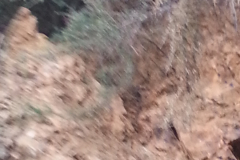 20131015-183809