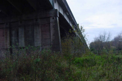 TR07305