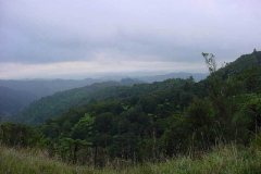 TR06007