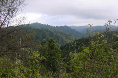 TR06014