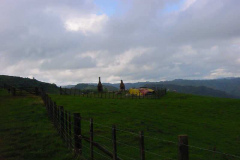 TR06018
