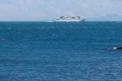 TR09612