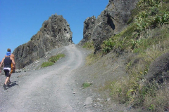 TR09613