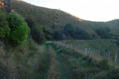 TR07018